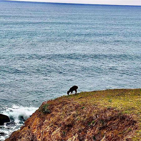 Inn Of The Lost Coast Shelter Cove Buitenkant foto