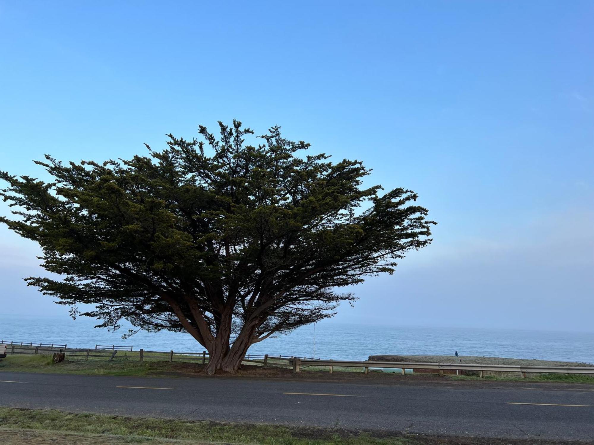 Inn Of The Lost Coast Shelter Cove Buitenkant foto